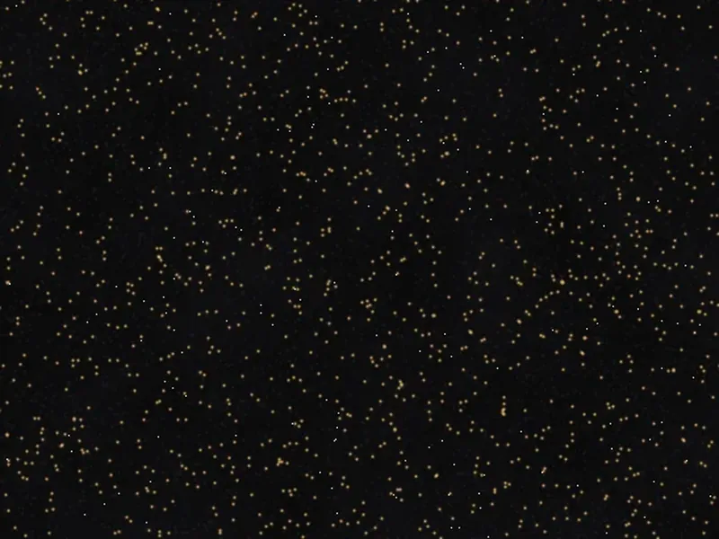 Close-up of black granite with golden flecks